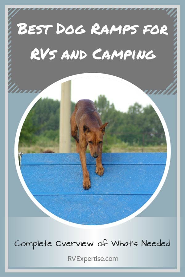 best-dog-ramps-for-RVs-and-camping-2
