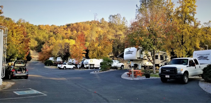Escape to River Reflections: Your Northern California RV Oasis