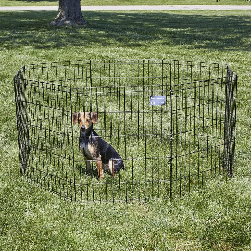 Portable Dog Fences for Camping A Complete Roundup
