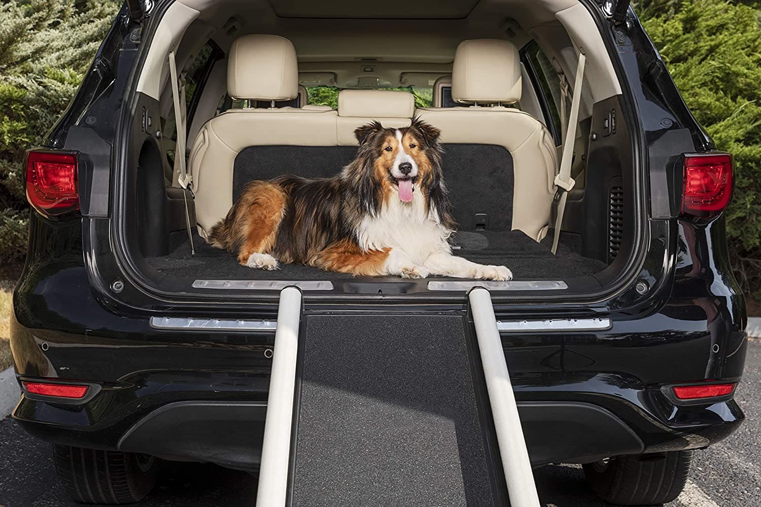 Dog Ramps for RVs Look After Your Best Friend on the Road