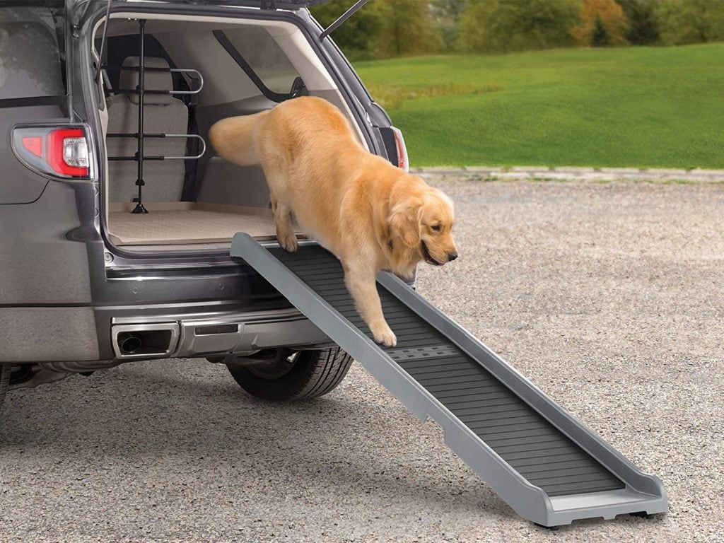 Dog Ramps for RVs – Look After Your Best Friend on the Road