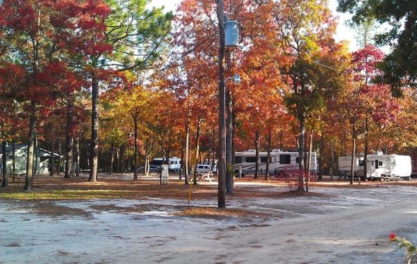 RV Parks in North Carolina: Lazy Acres
