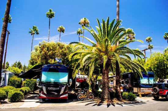 San Diego RV Resort is one of the best RV Parks in southern California